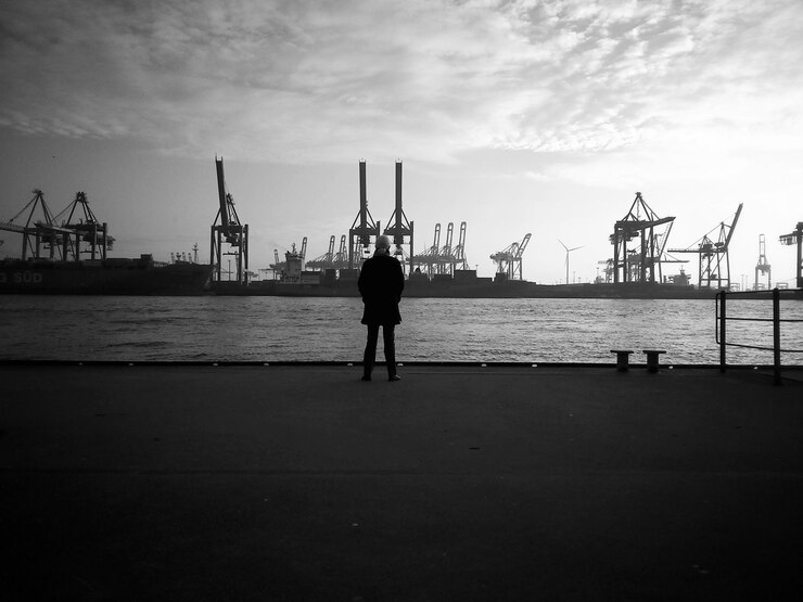 full-length-rear-view-man-viewing-harbor-cranes_1048944-25326221.jpg